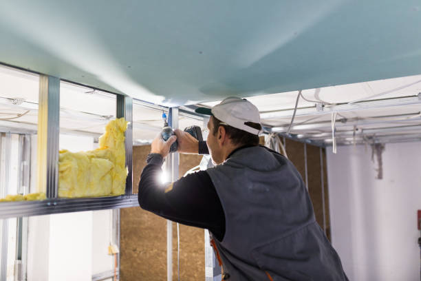 Best Energy Efficiency Insulation in Bluff City, TN