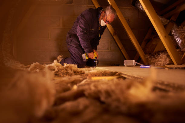 Best Eco-Friendly Insulation in Bluff City, TN