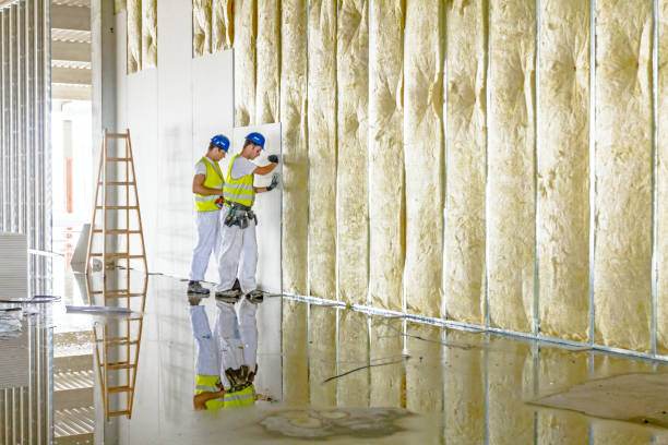  Bluff City, TN Insulation Contractor Pros